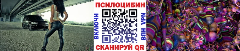 цена наркотик  Буй  Галлюциногенные грибы GOLDEN TEACHER 